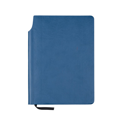 Notes MOLI A5 67eb15bb55701.jpg
