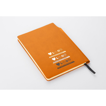 Notes MOLI A5 67eb15c76840b.jpg