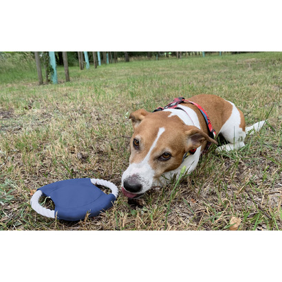 Frisbee dla psa RINGO 67eb1d6792f5a.jpg