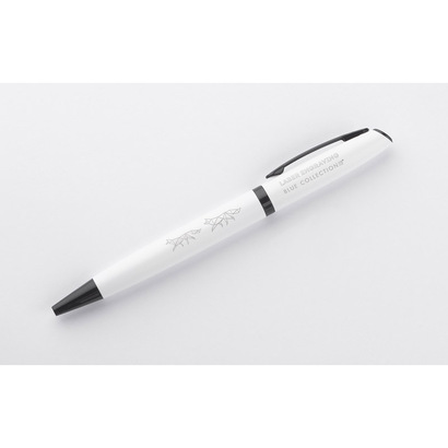 Długopis w etui RIO 690d2e3dd0a2f.jpg