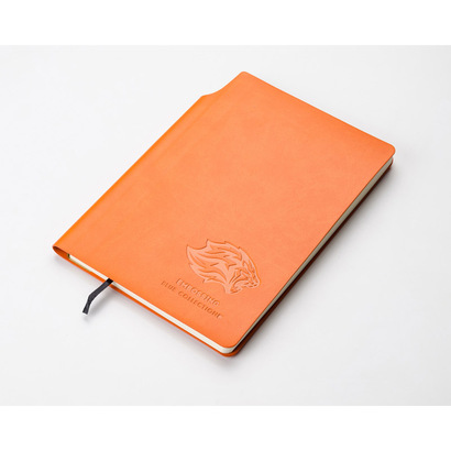 Notes MOLI A5 6986754c4a19f.jpg