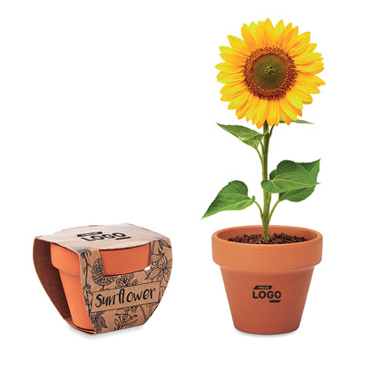 Doniczka, słonecznik SUNFLOWER