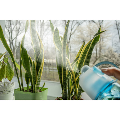 Bidon ze zraszaczem SPRAY 600 ml niebieski