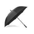 Parasol DIZZES