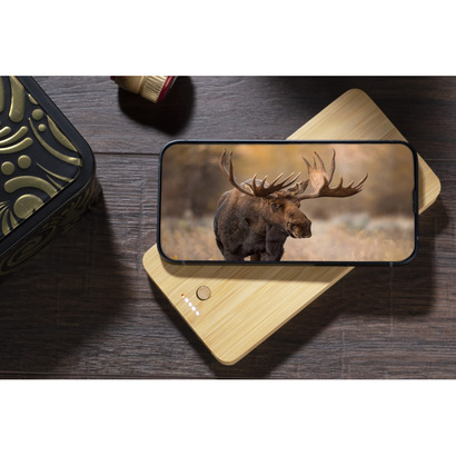 Power bank BORRA 10000 mAh naturalny