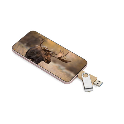 Pamięć USB TWISTER-PRO 32GB 3.0 OTG beżowy