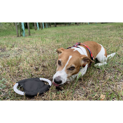 Frisbee dla psa RINGO czarny