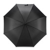 Parasol DIZZES