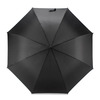 Parasol DIZZES