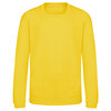 Bluza dresowa dziecięca KIDS AWDIS SWEAT JH030K