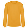 Bluza dresowa dziecięca KIDS AWDIS SWEAT JH030K
