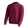 Bluza dresowa CREW NECK SWEATSHIRT JHK SWRA290