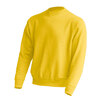 Bluza dresowa CREW NECK SWEATSHIRT JHK SWRA290