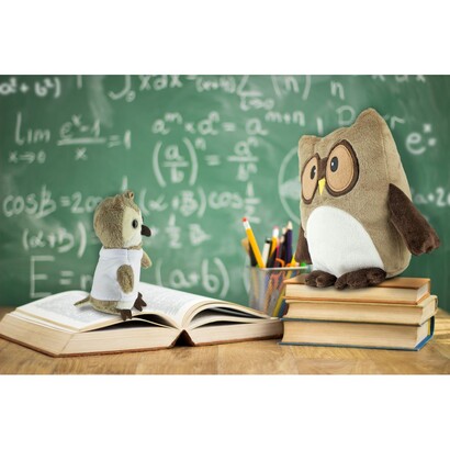 Pluszowa poduszka, sowa | Professowl 654b667749369.jpg